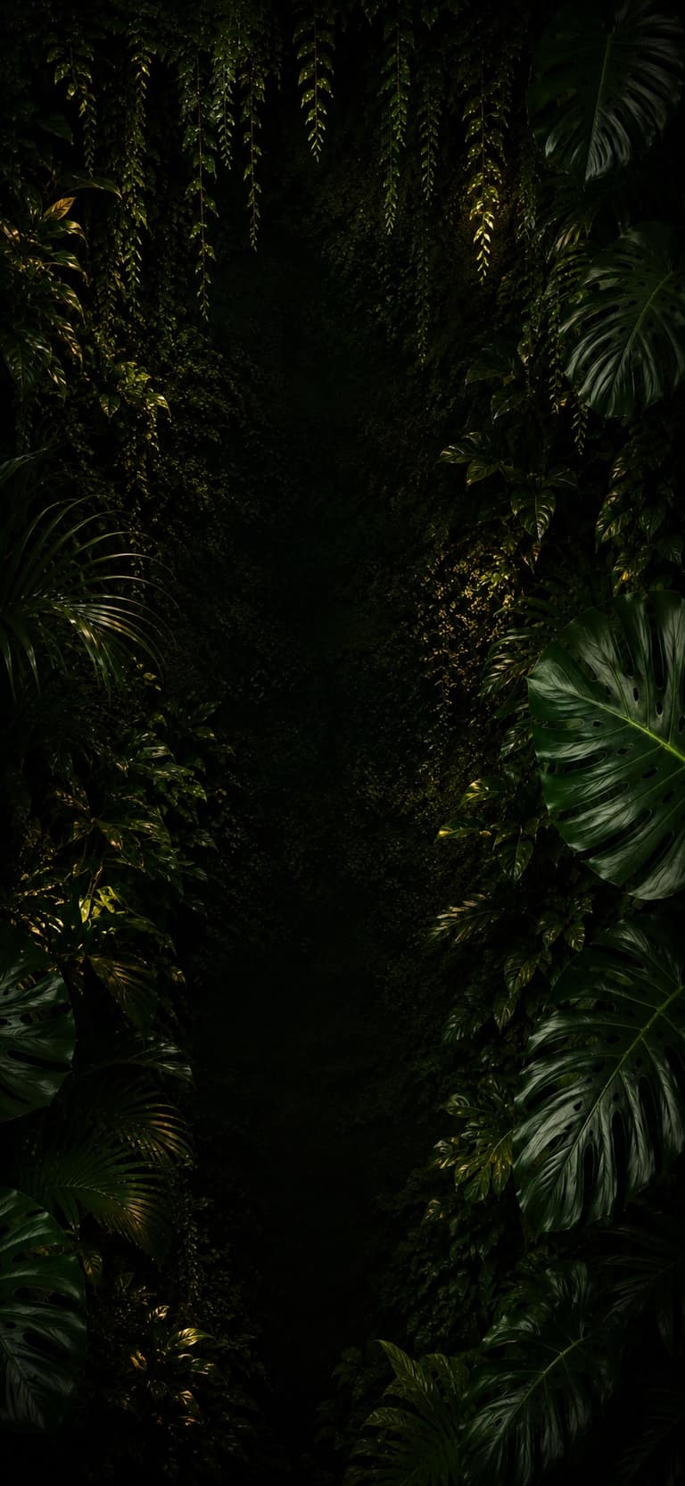 Тёмная растительная композиция из визуальных материалов Botanic Space